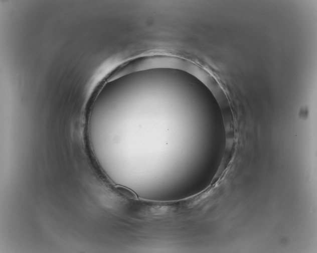 X0000090990152200708161924