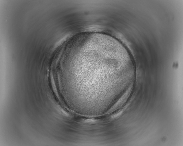 X0000090990153200708161924