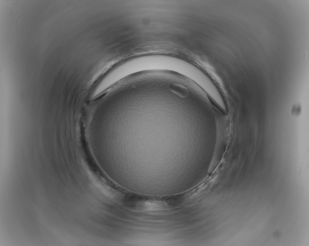 X0000090990154200708161924