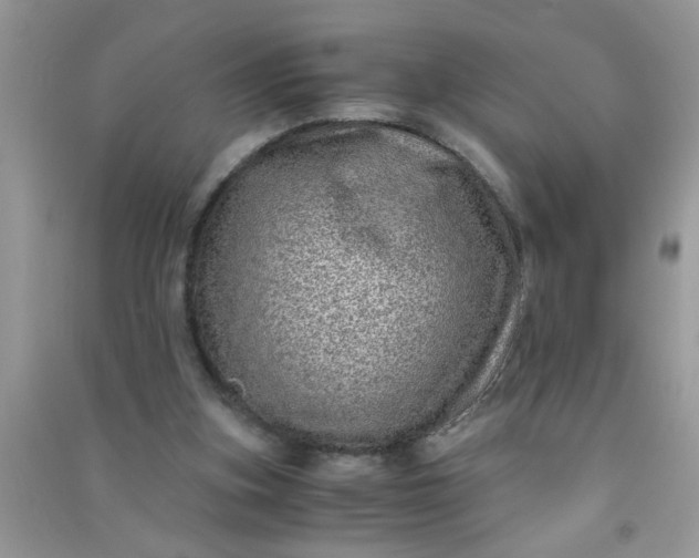 X0000090990155200708161924