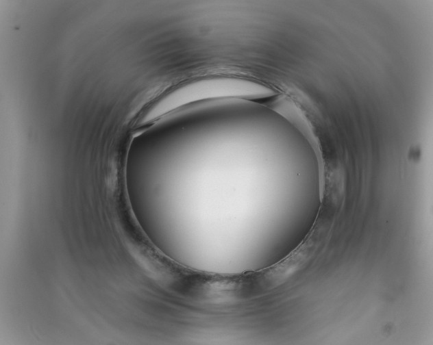 X0000090990158200708161924