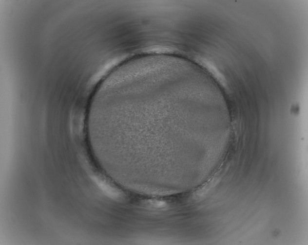 X0000090990159200708161924