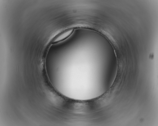 X0000090990160200708161924