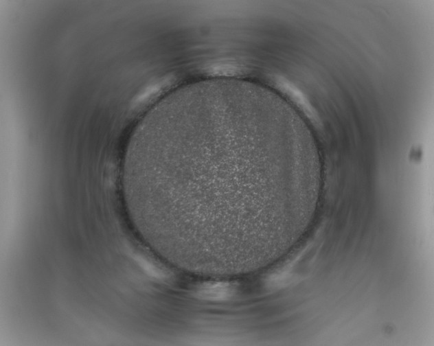 X0000090990161200708161924