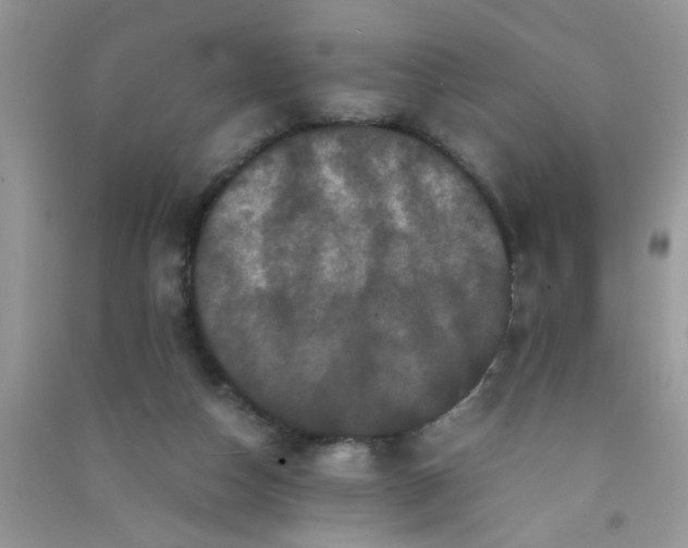 X0000090990162200708161924