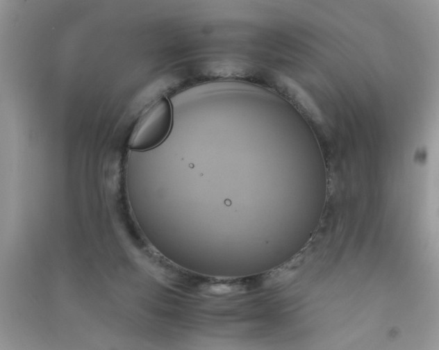 X0000090990163200708161924