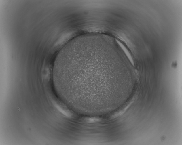 X0000090990165200708161924