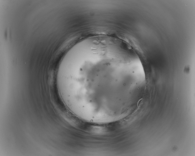 X0000090990167200708161924