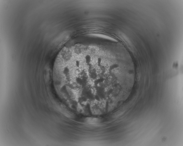 X0000090990169200708161924