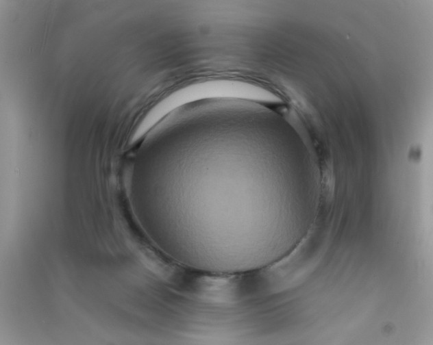 X0000090990170200708161924