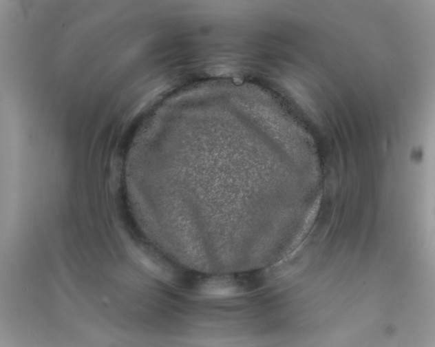 X0000090990171200708161924