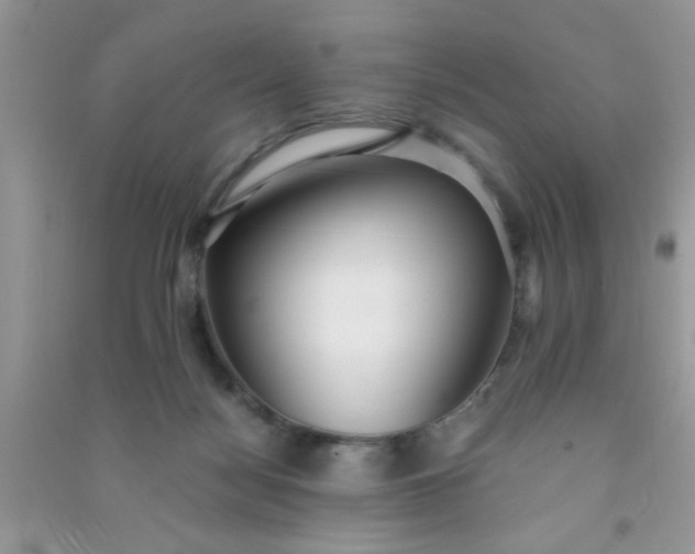 X0000090990172200708161924