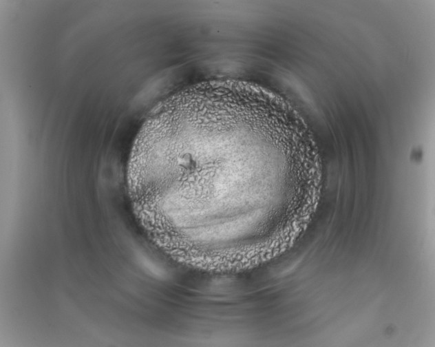 X0000090990173200708161924