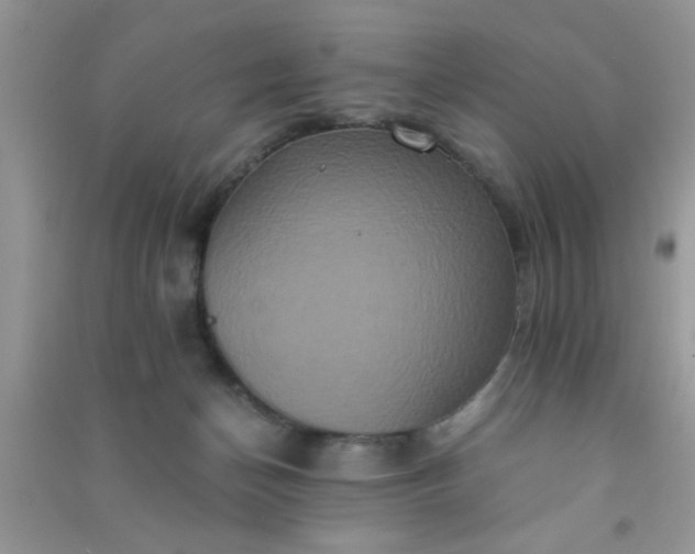 X0000090990174200708161924