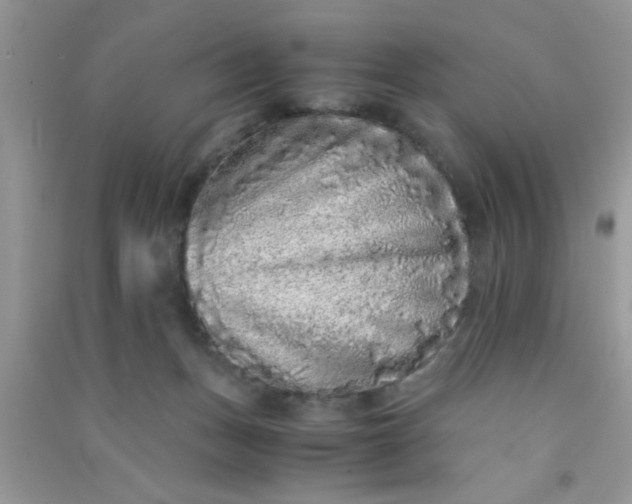 X0000090990175200708161924