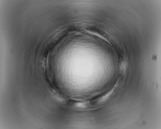 X0000090990178200708161924