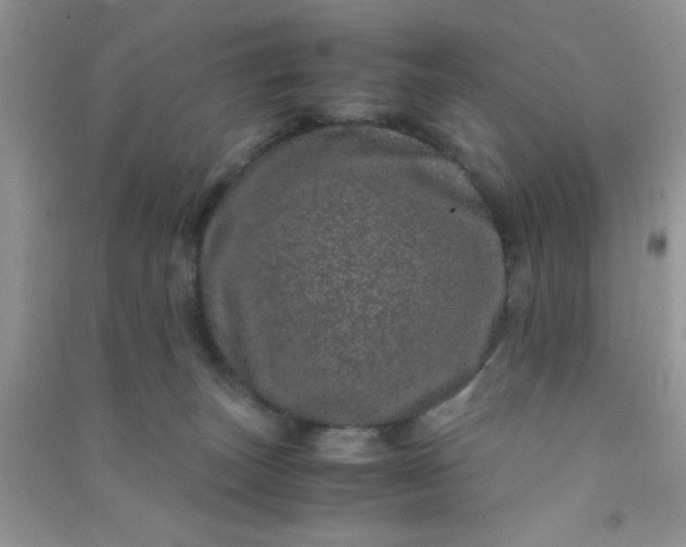 X0000090990179200708161924