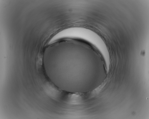 X0000090990180200708161925