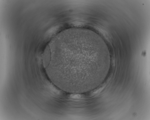 X0000090990181200708161925