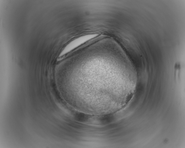 X0000090990182200708161925