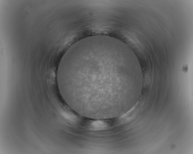 X0000090990183200708161925