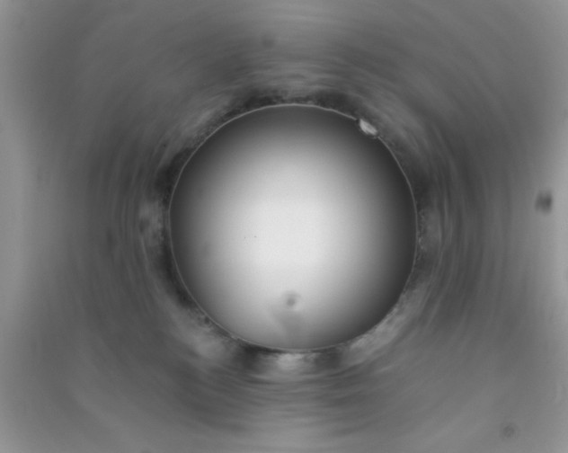 X0000090990184200708161925