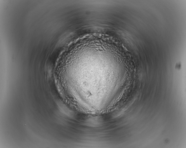 X0000090990185200708161925