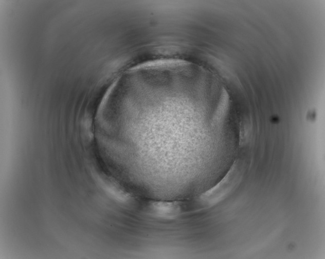 X0000090990187200708161925