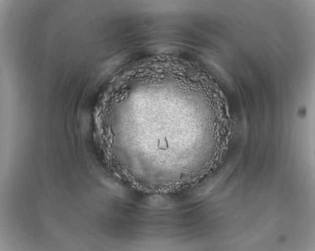 X0000090990189200708161925