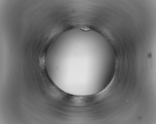 X0000090990190200708161925