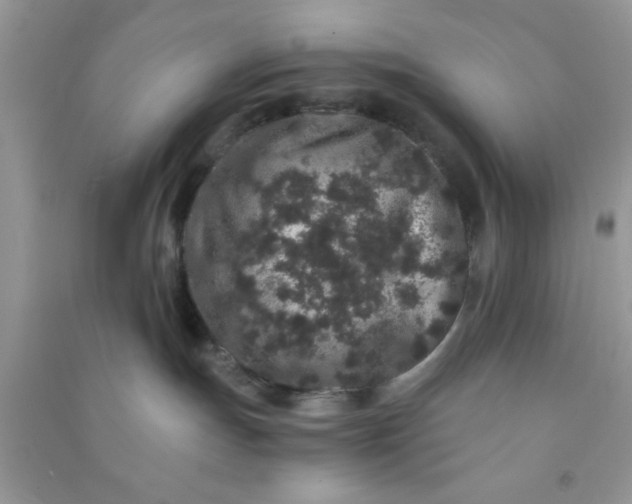 X0000090990191200708161925