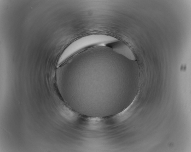 X0000090990192200708161925