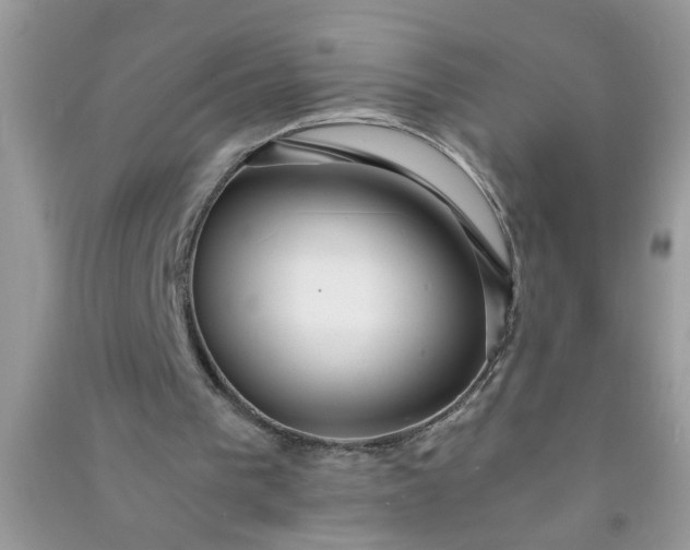 X0000090990193200708161924