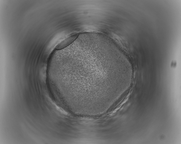 X0000090990194200708161924