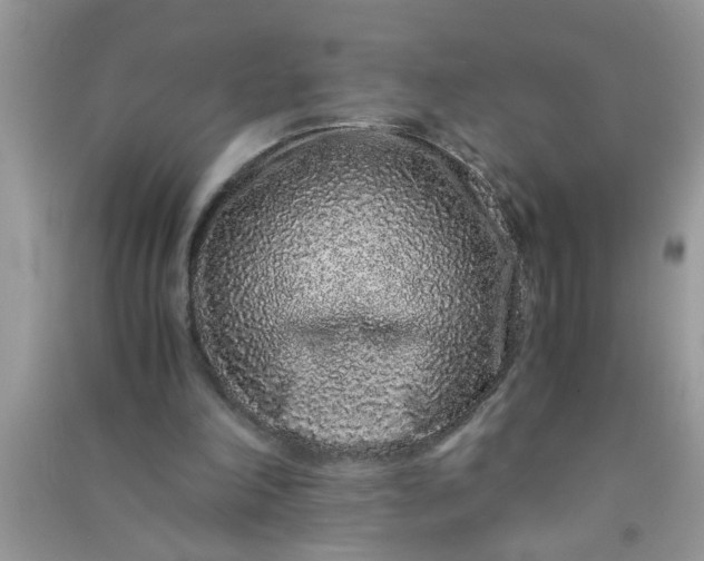 X0000090990198200708161924