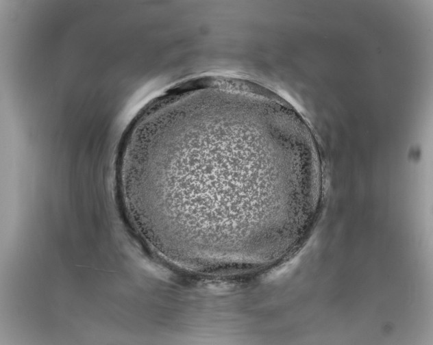 X0000090990199200708161924