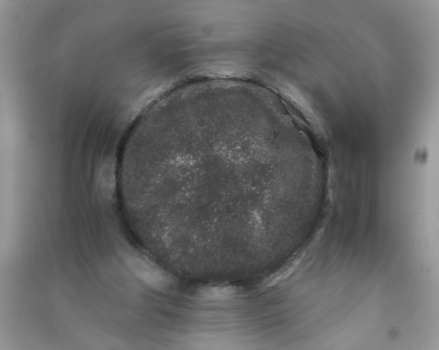 X0000090990202200708161924