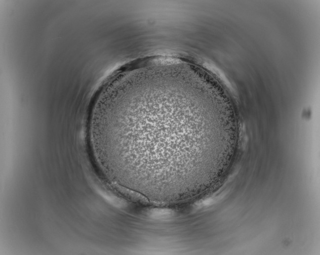 X0000090990203200708161924