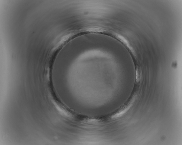 X0000090990205200708161924