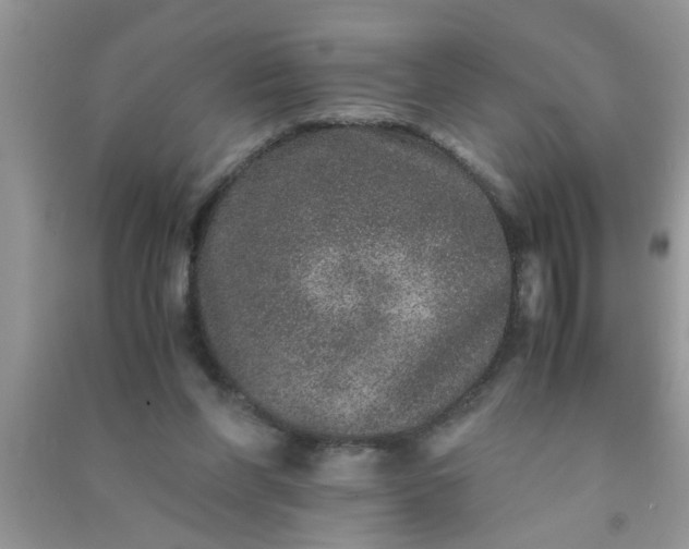 X0000090990206200708161924