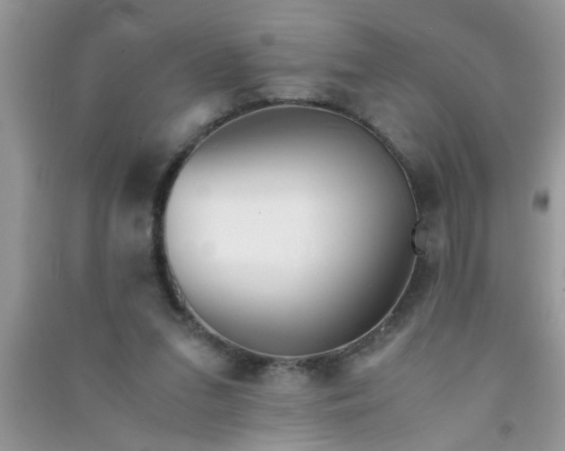 X0000090990207200708161924