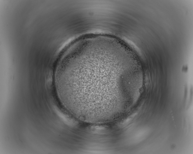 X0000090990208200708161924