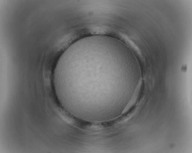 X0000090990209200708161924