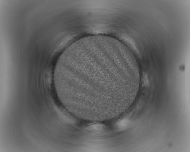 X0000090990210200708161924