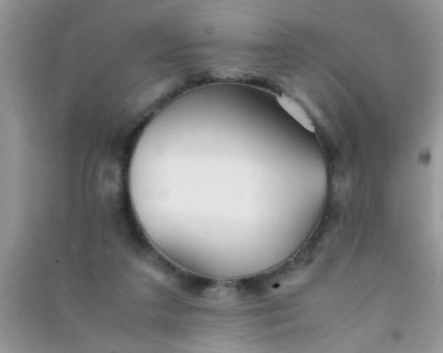 X0000090990211200708161924