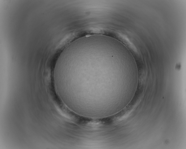 X0000090990213200708161924