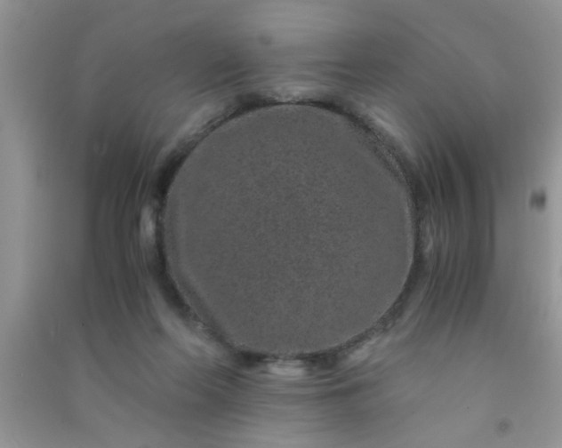 X0000090990214200708161924