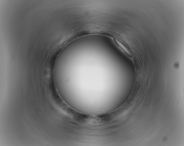 X0000090990215200708161924