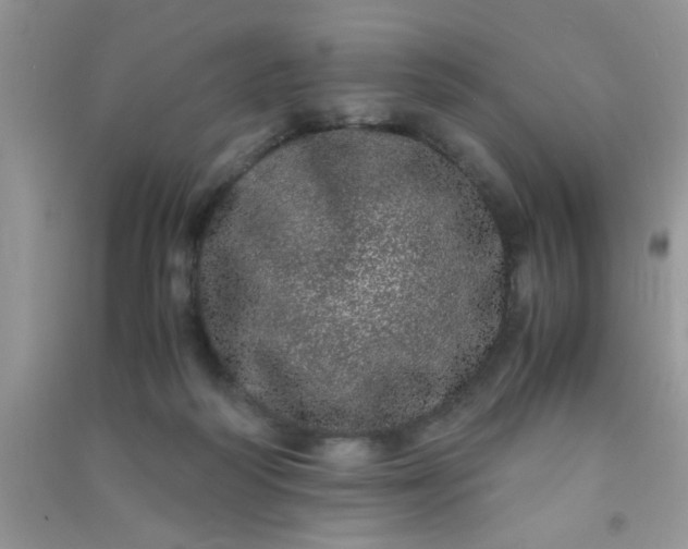 X0000090990218200708161924