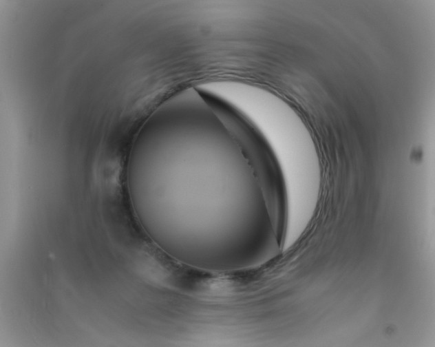 X0000090990219200708161924